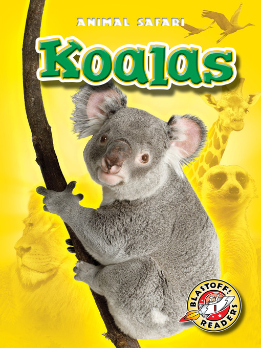 Title details for Koalas by Kari Schuetz - Available